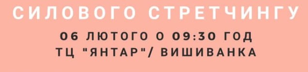 51297172_233621337579097_228068458544234496_n
